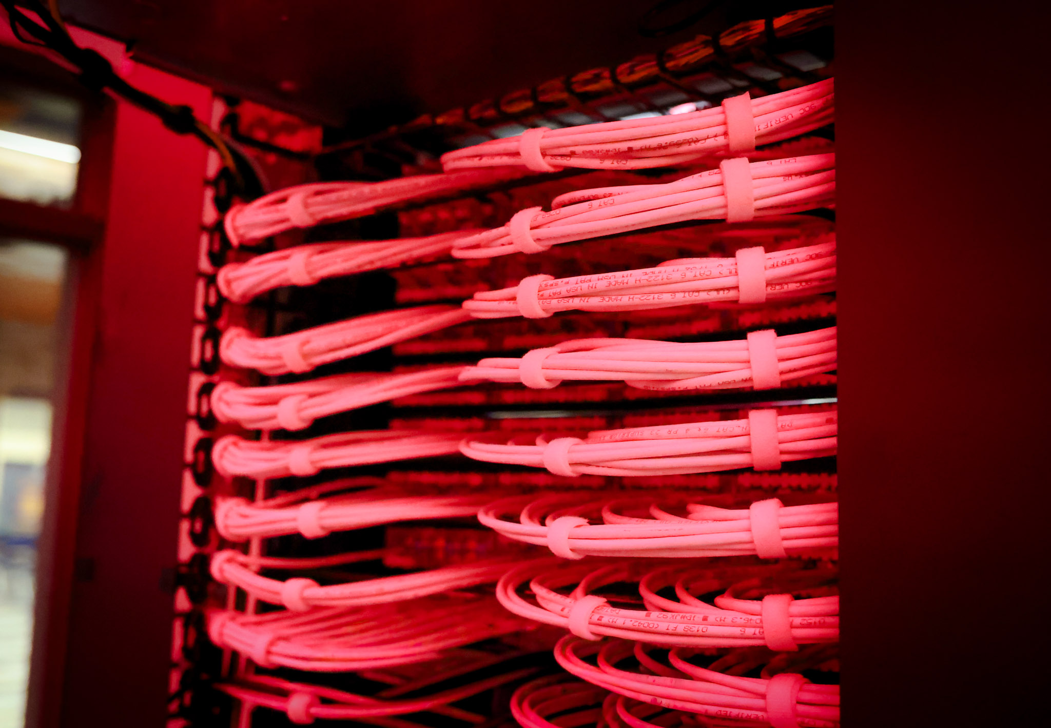Rows of neatly organized network cables are bundled and fastened with ties inside a server rack, illuminated by a red light.