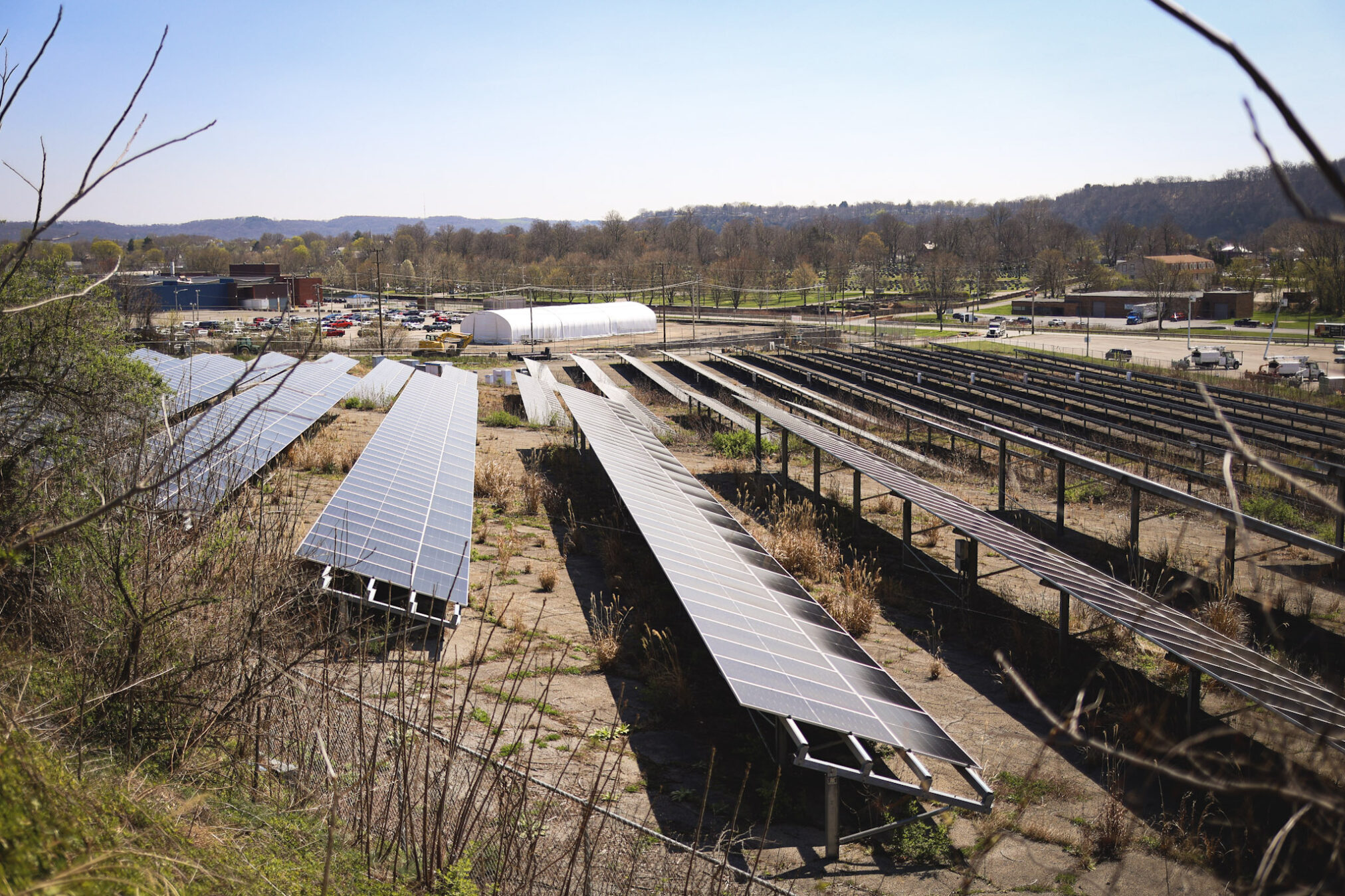 Rows of solar panels installed outdoors on an overgrown, cracked concrete surface, with a parking lot, cars, and trees in the background under a clear blue sky.