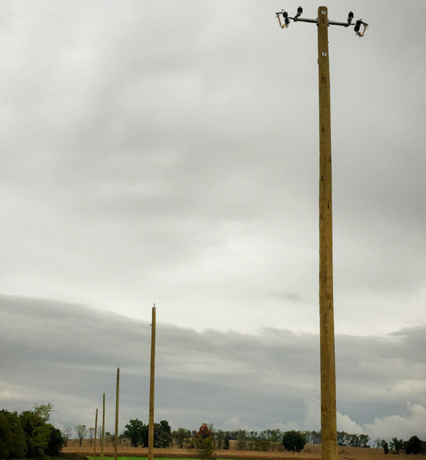 Four empty wooden utility poles stand in a row across a grassy, open field under a cloudy, overcast sky. There are no wires attached to the poles. Trees line the horizon in the background.